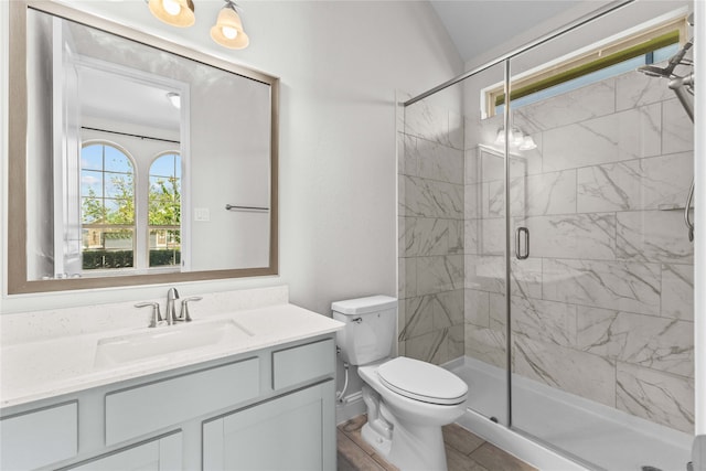 bathroom with vanity, an enclosed shower, and toilet