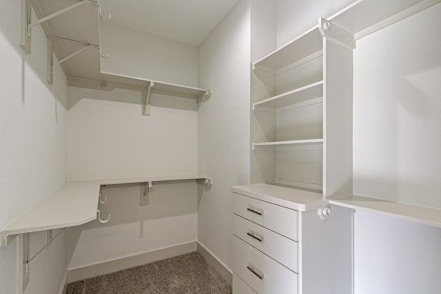 spacious closet with carpet flooring