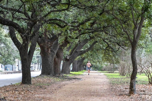 view of property's community