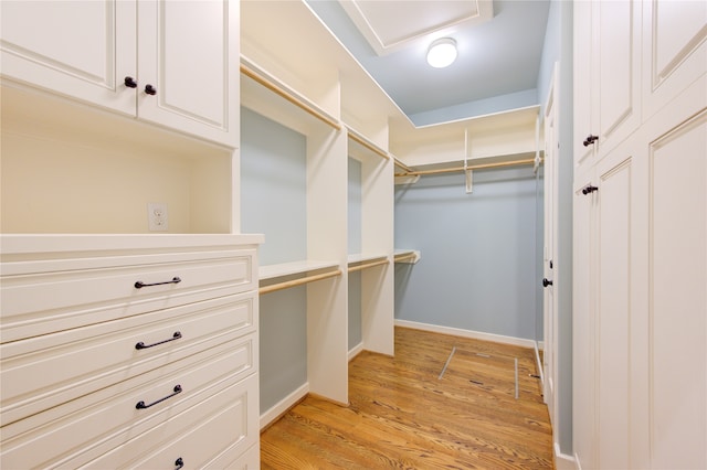 spacious closet featuring light wood-type flooring