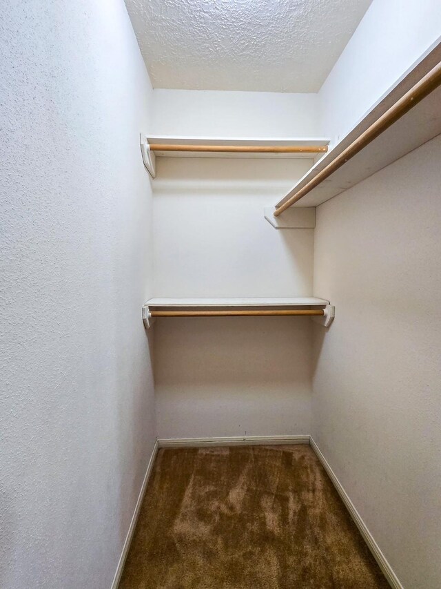 walk in closet featuring dark colored carpet