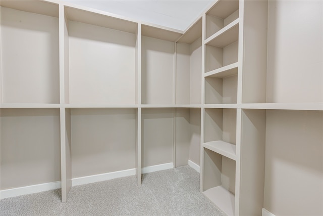 spacious closet with light colored carpet