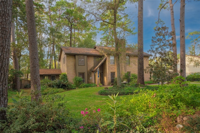 back of house featuring a yard