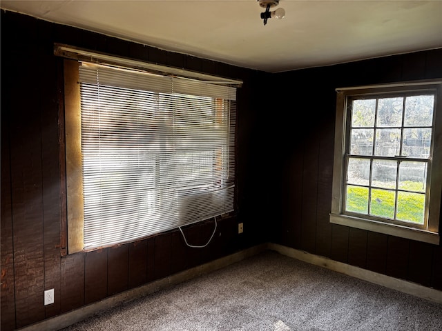 carpeted empty room featuring wood walls