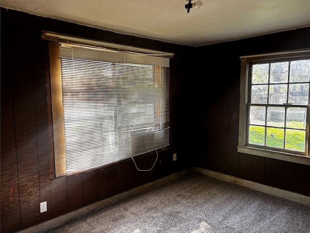 carpeted empty room featuring wooden walls