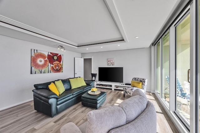 living room featuring a raised ceiling and light hardwood / wood-style floors