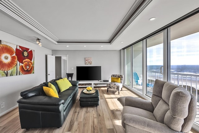 living room with a wall of windows, a raised ceiling, hardwood / wood-style floors, and a wealth of natural light