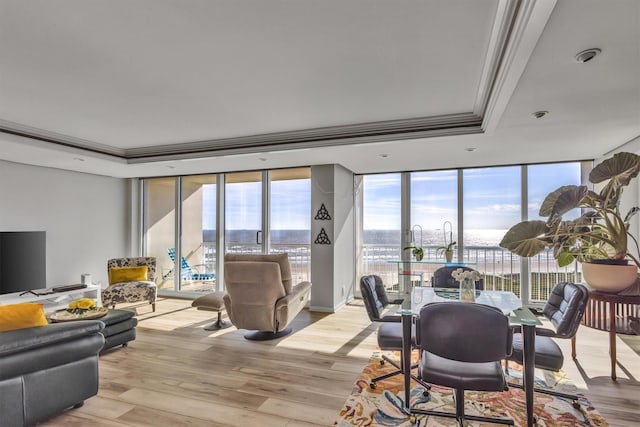 living room with a healthy amount of sunlight, floor to ceiling windows, a raised ceiling, and light wood-type flooring