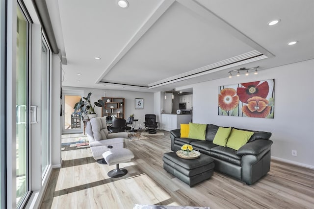 living room featuring a tray ceiling and light wood-type flooring