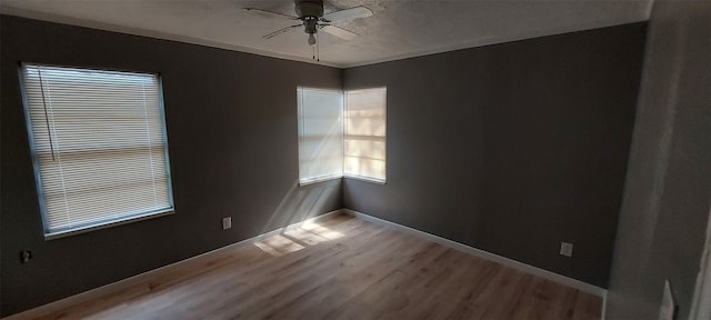 unfurnished room featuring hardwood / wood-style floors and ceiling fan