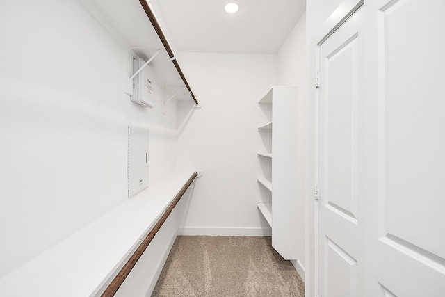 walk in closet with carpet flooring