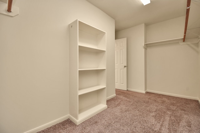 spacious closet featuring carpet floors