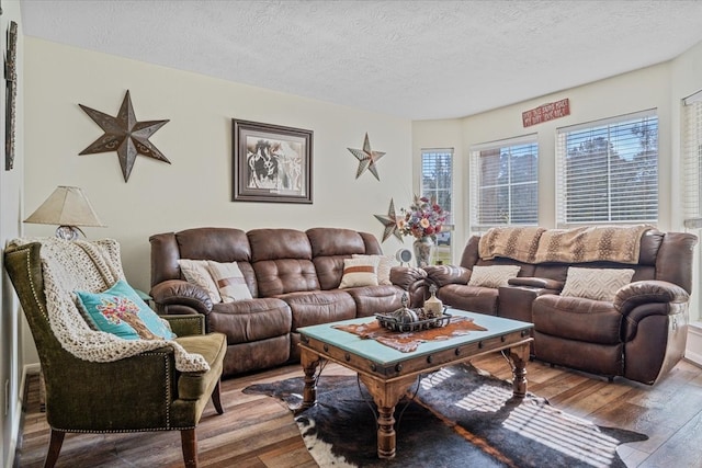 living room featuring a textured ceiling and hardwood / wood-style flooring