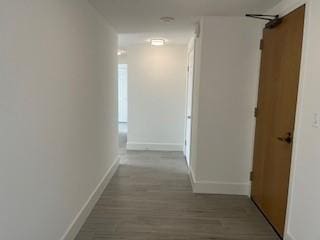 corridor with a barn door and light hardwood / wood-style flooring