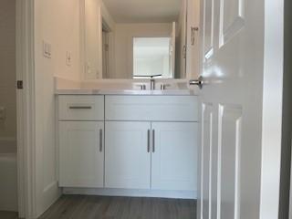 bathroom featuring hardwood / wood-style floors and vanity