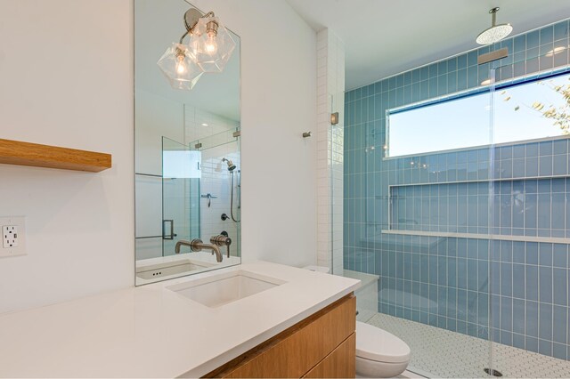 bathroom with vanity, a shower with shower door, and toilet