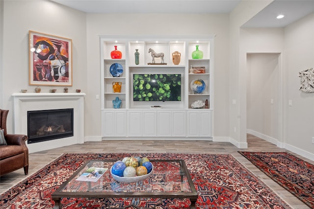 living room featuring light hardwood / wood-style flooring