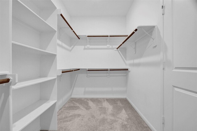 walk in closet featuring light carpet