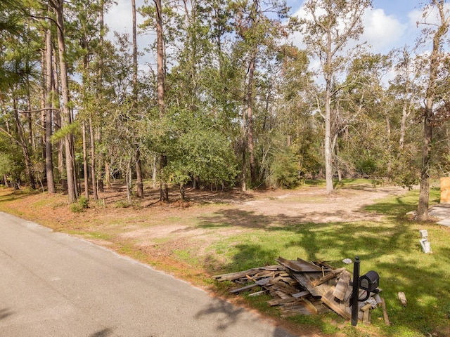 12816 Lakeside Terrace Dr, Houston, TX 77044 - photo 4