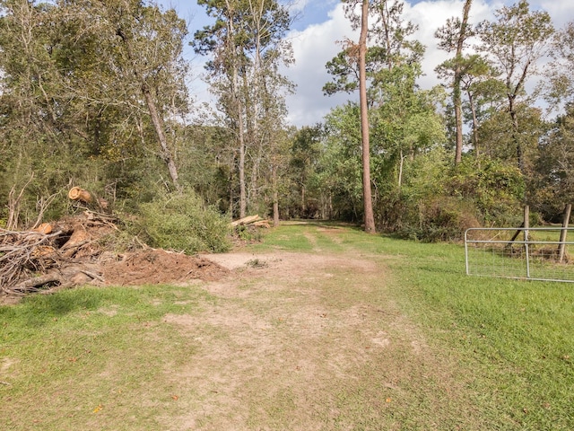 12816 Lakeside Terrace Dr, Houston, TX 77044 - photo 11