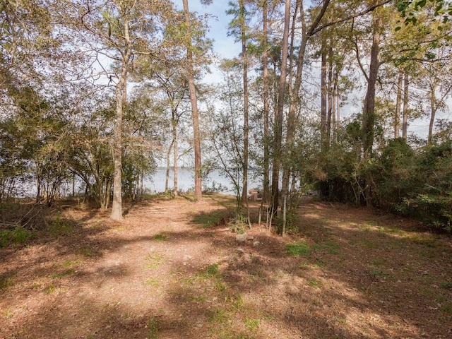 12816 Lakeside Terrace Dr, Houston, TX 77044 - photo 18