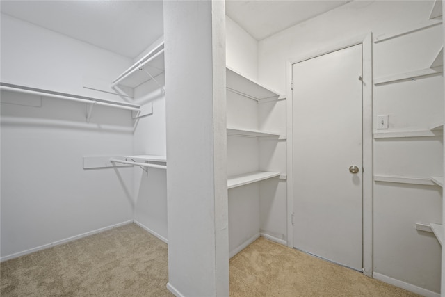 spacious closet with light carpet