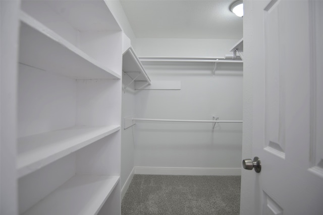 spacious closet with carpet flooring