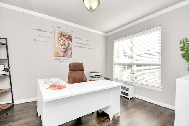 office area with crown molding and dark wood-type flooring