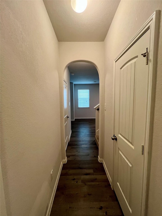 hallway featuring dark hardwood / wood-style flooring