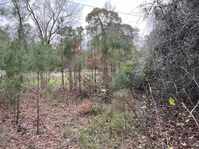 380 Lure Ln, Livingston TX, 77351 land for sale