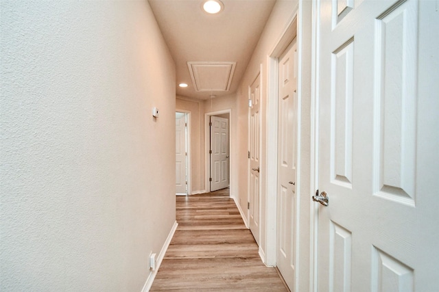 hall featuring light hardwood / wood-style floors