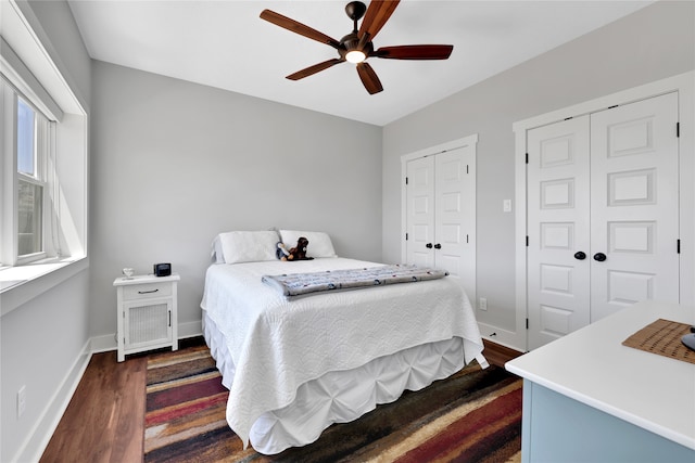 bedroom with multiple closets, ceiling fan, and dark wood-type flooring