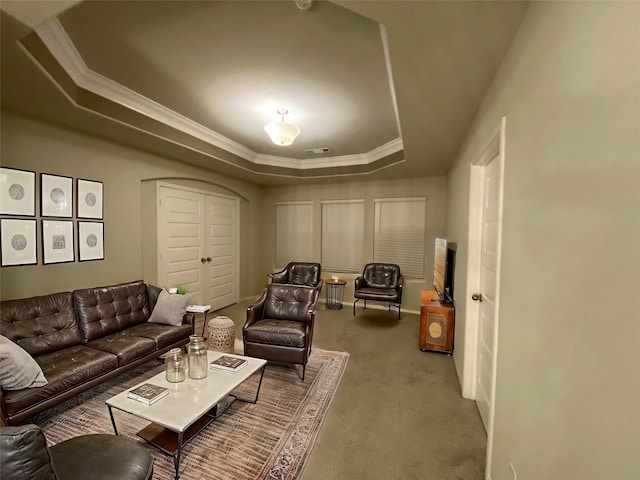 carpeted living room with a raised ceiling