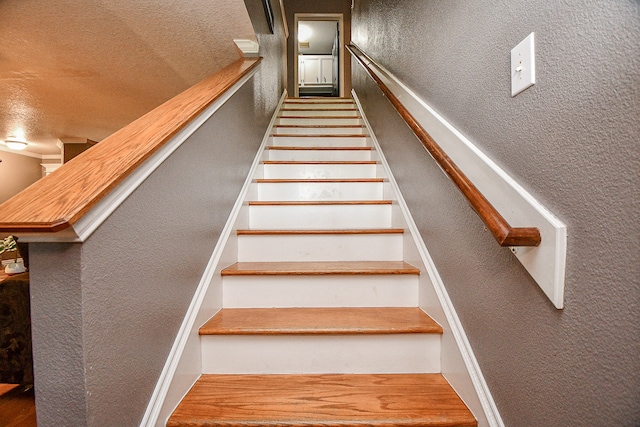 stairway with wood-type flooring