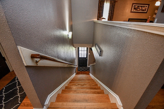 stairway with hardwood / wood-style flooring