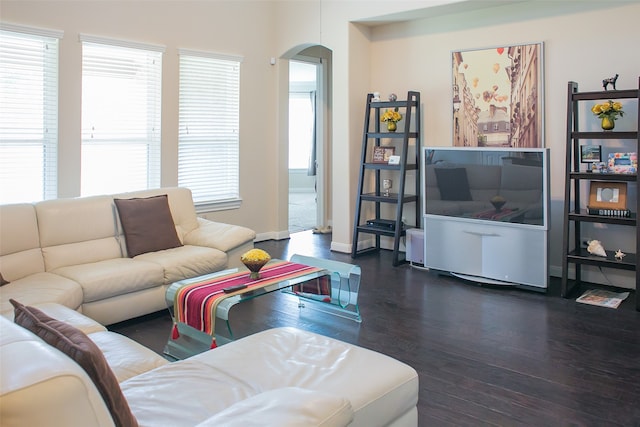 living room featuring dark wood-type flooring