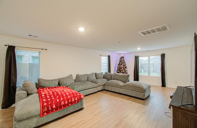 living room featuring wood-type flooring