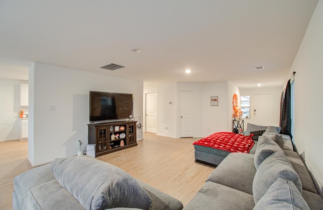 living room featuring light hardwood / wood-style flooring