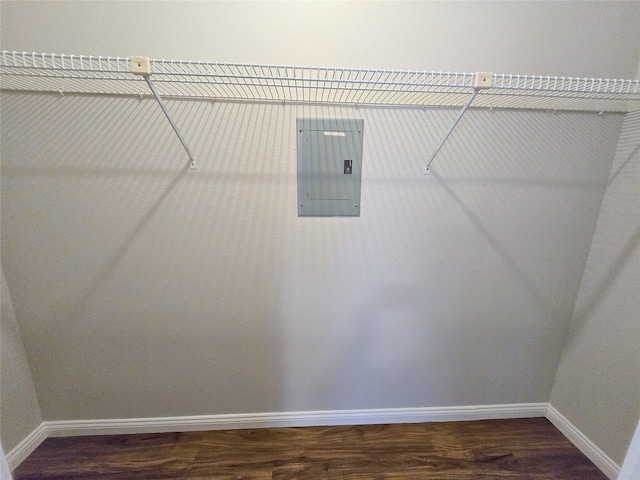 spacious closet with electric panel and dark hardwood / wood-style flooring