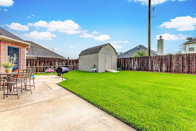 view of yard with a patio and a storage unit