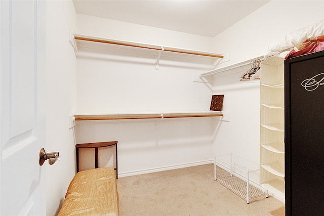 walk in closet with carpet floors