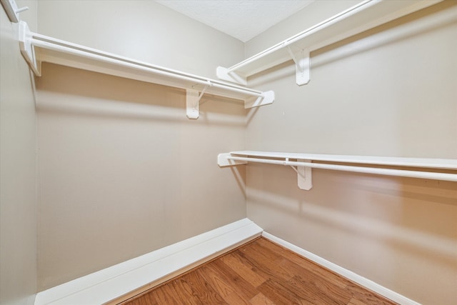 walk in closet with hardwood / wood-style flooring