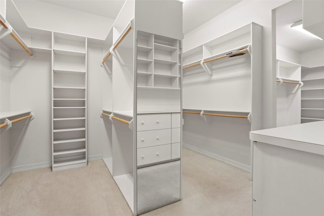 walk in closet with light carpet