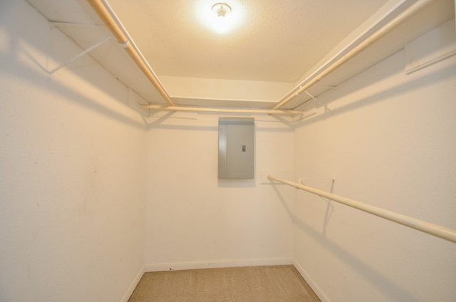 walk in closet with carpet flooring and electric panel