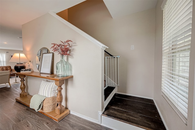 stairs with hardwood / wood-style flooring