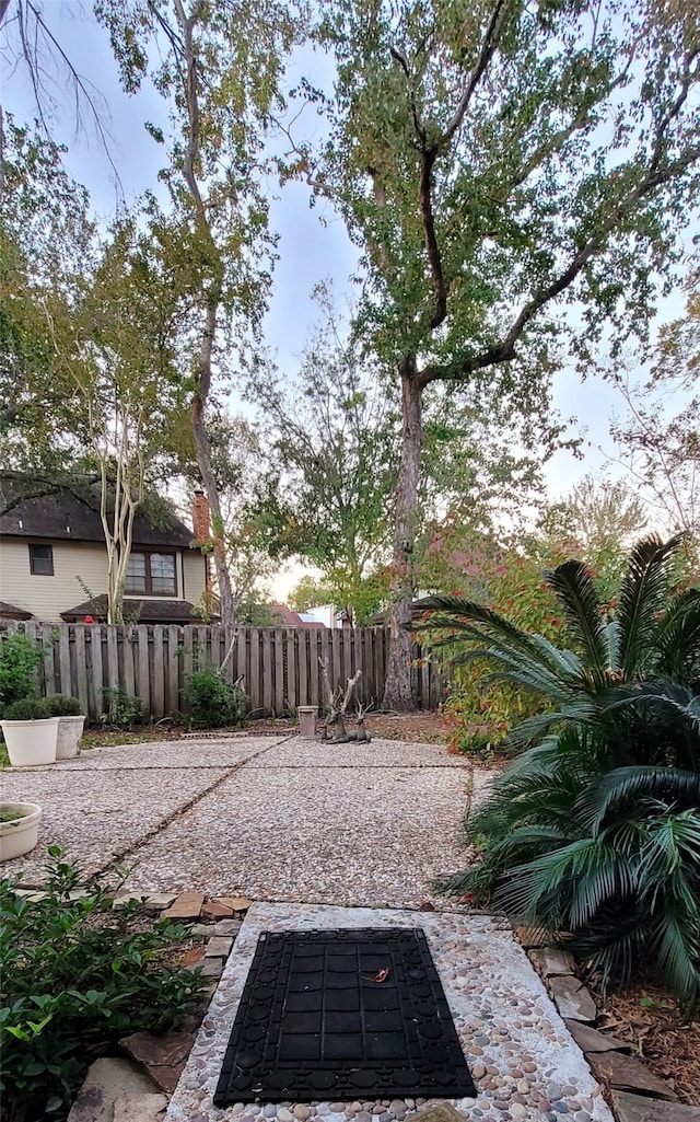 view of yard featuring a patio