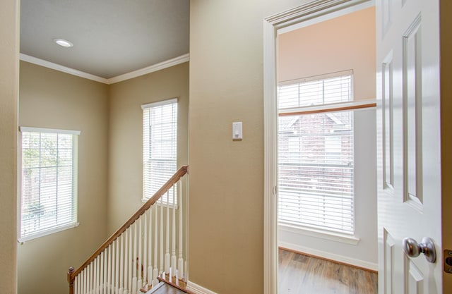 stairway featuring hardwood / wood-style flooring and crown molding