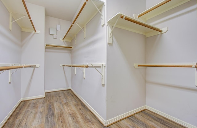 spacious closet with light hardwood / wood-style flooring