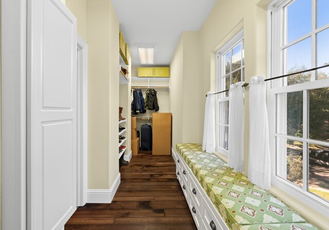 mudroom with a healthy amount of sunlight and dark wood-type flooring