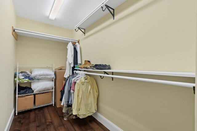 spacious closet with dark wood-type flooring